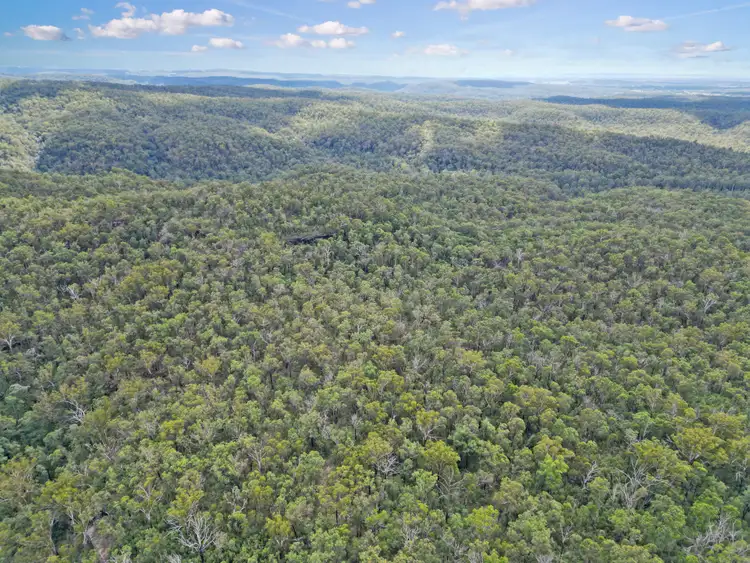 Fourth view of Homely rural property listing, Lot 12 Busbys Flat Road, Busbys Flat NSW 2469