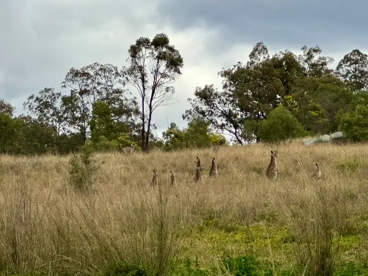 "Top Rosemount" Rosemount Rd