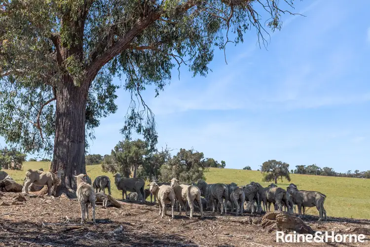 Main view of Homely land listing, C/A 2A & 2D 555 & 565 Dairy Flat Road, Heathcote South VIC 3523