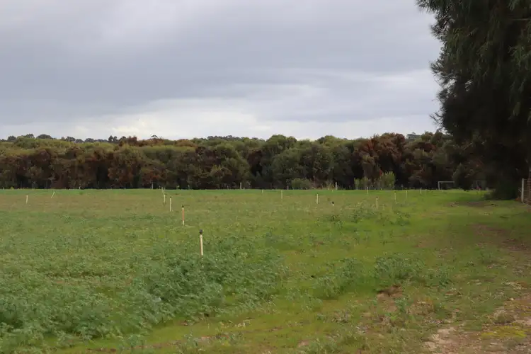 Third view of Homely rural property listing, Lot 849 Eighty Road, Baldivis WA 6171