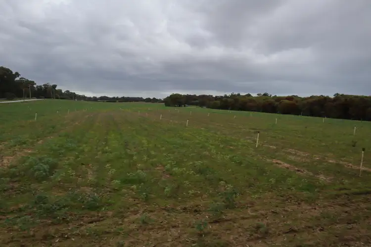Fourth view of Homely rural property listing, Lot 849 Eighty Road, Baldivis WA 6171