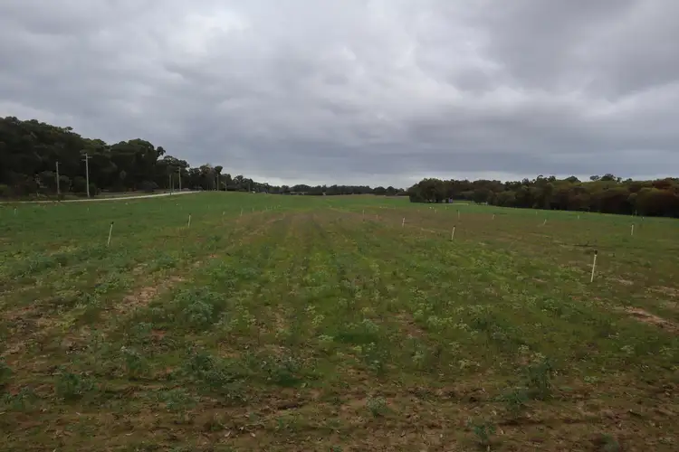 Fifth view of Homely rural property listing, Lot 849 Eighty Road, Baldivis WA 6171
