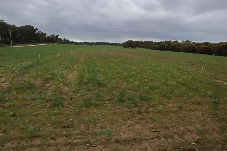 Sixth view of Homely rural property listing, Lot 849 Eighty Road, Baldivis WA 6171