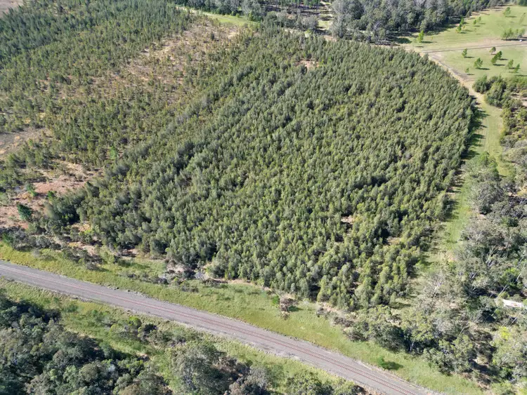 Second view of Homely rural property listing, 1A/919 Clearfield Road, Myrtle Creek NSW 2469