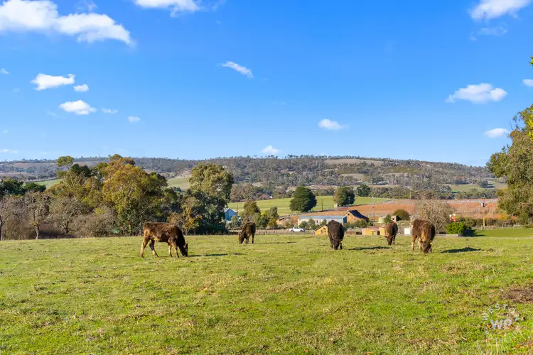 Lot 93 Jungfer Road, Charleston SA 5244