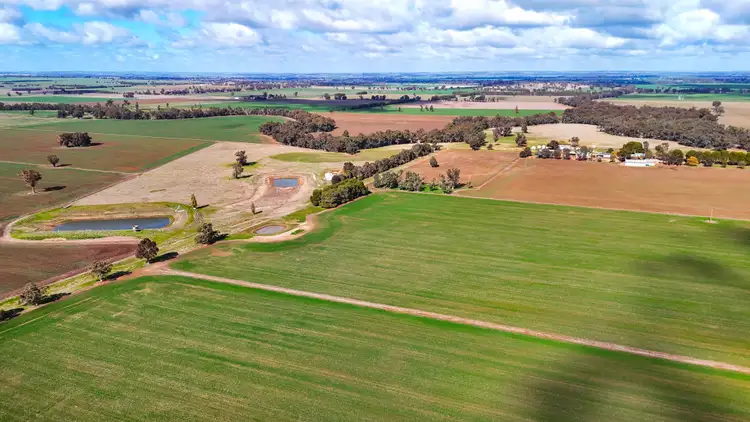 279 Old Forbes Road, Grenfell NSW 2810