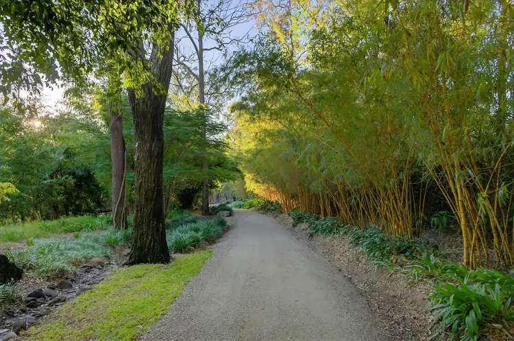 Second view of Homely rural property listing, 332 Gilston Road, Nerang QLD 4211