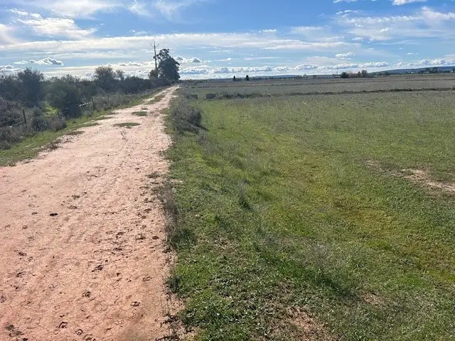 Part Farm 52 Quodling Road, Leeton NSW 2705