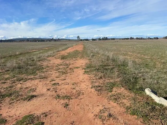 Second view of Homely rural property listing, Part Farm 52 Quodling Road, Leeton NSW 2705