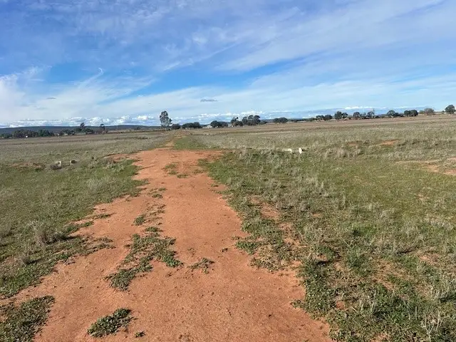 Third view of Homely rural property listing, Part Farm 52 Quodling Road, Leeton NSW 2705