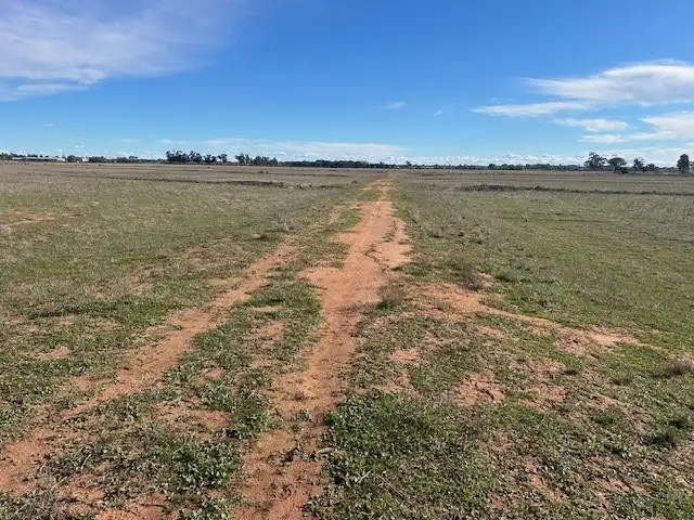 Fifth view of Homely rural property listing, Part Farm 52 Quodling Road, Leeton NSW 2705