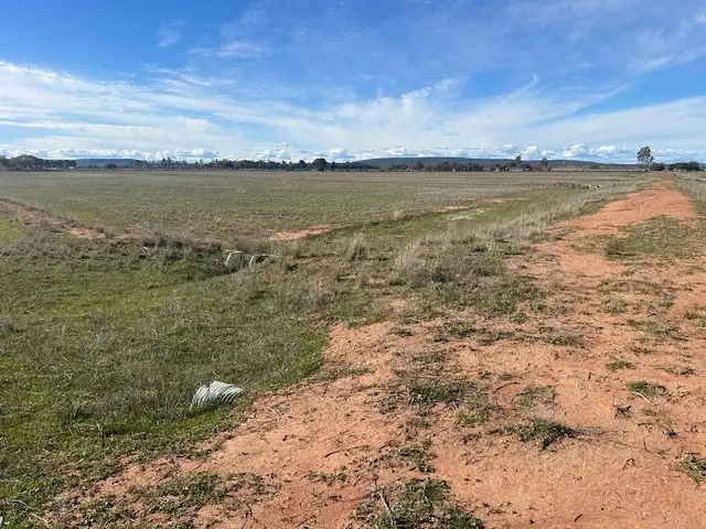 Seventh view of Homely rural property listing, Part Farm 52 Quodling Road, Leeton NSW 2705