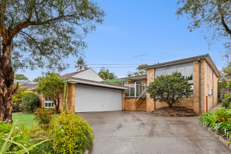 21 Ashworth Avenue, Belrose NSW 2085