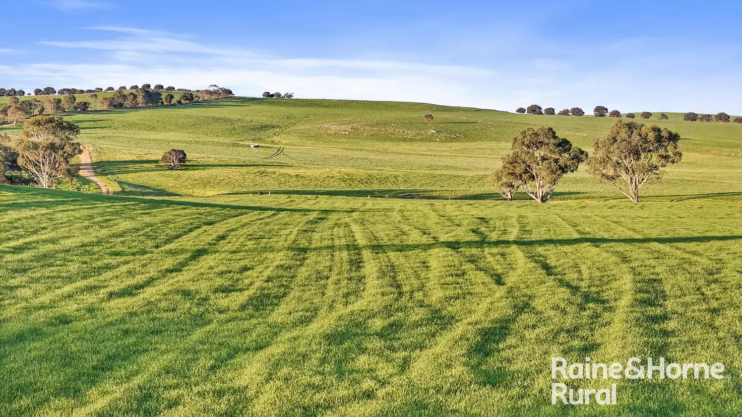 Main view of Homely rural property listing, 84 Dalveen Road, Woodchester SA 5255