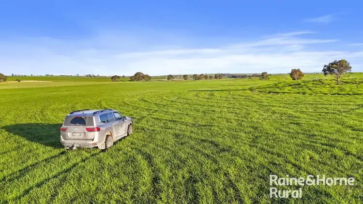 Third view of Homely rural property listing, 84 Dalveen Road, Woodchester SA 5255