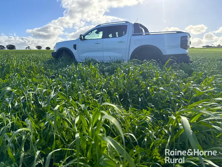 Sixth view of Homely rural property listing, 84 Dalveen Road, Woodchester SA 5255