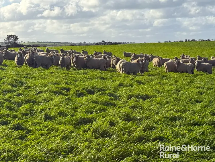 Seventh view of Homely rural property listing, 84 Dalveen Road, Woodchester SA 5255