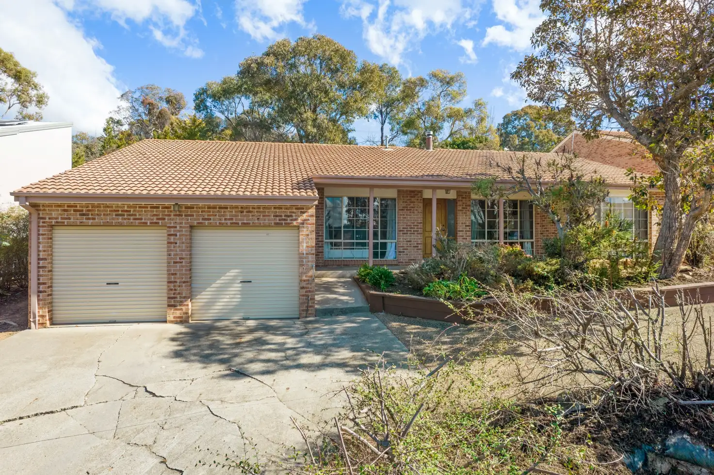 Main view of Homely house listing, 60 Louis Loder Street, Theodore ACT 2905