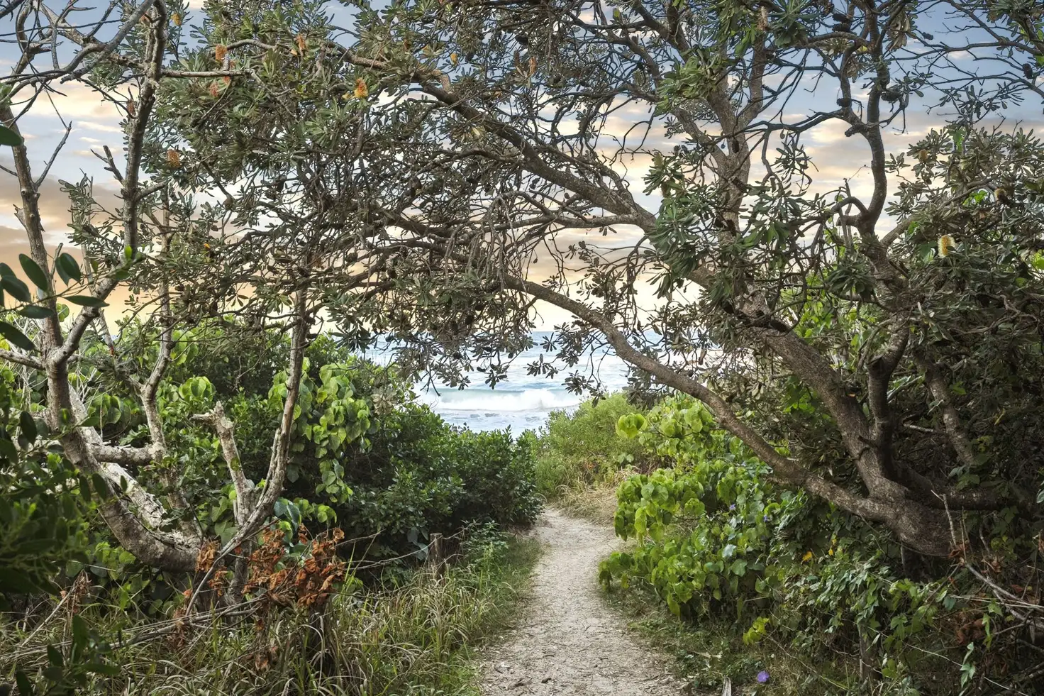 Main view of Homely apartment listing, 8/1 Murphys Road, Kingscliff NSW 2487