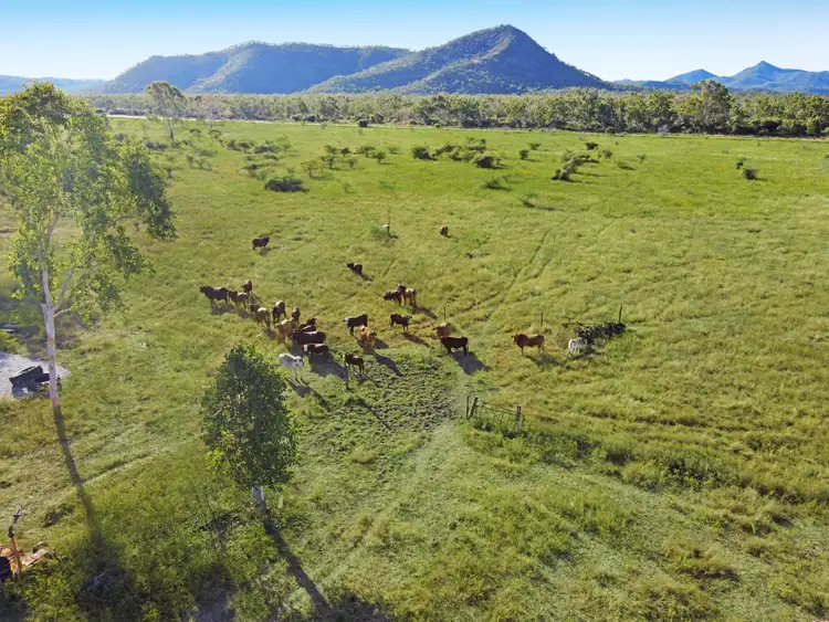 Second view of Homely land listing, 6854 Flinders Highway, Mingela QLD 4816