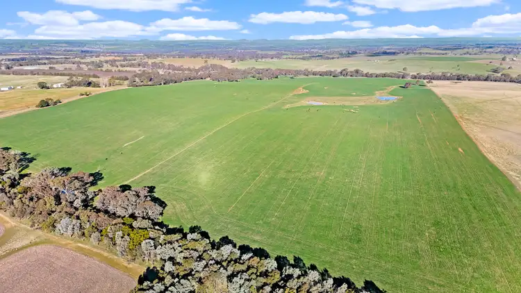 "Greenhills" Koepang Road, Nubba NSW 2587
