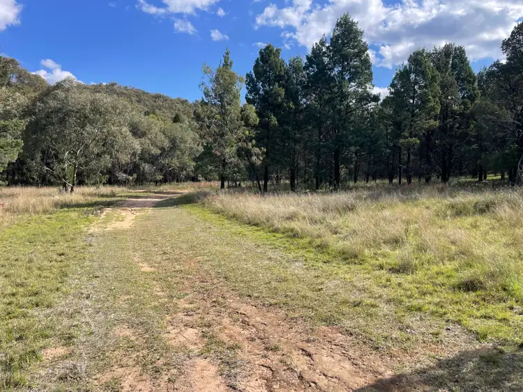 Fifth view of Homely rural property listing, 100 High Street, Tambar Springs NSW 2381