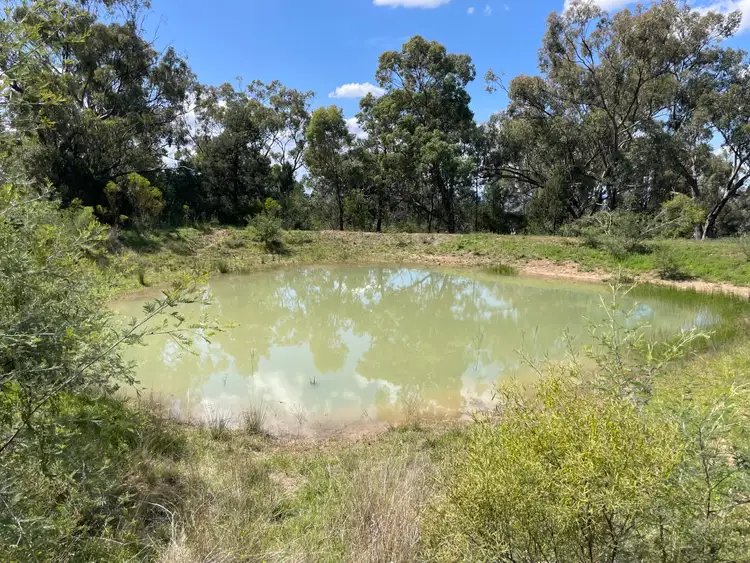 Sixth view of Homely rural property listing, 100 High Street, Tambar Springs NSW 2381