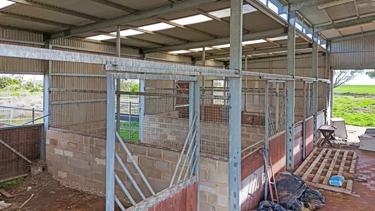 Sixth view of Homely villa listing, 171 Old Port Wakefield Road, Windsor SA 5501