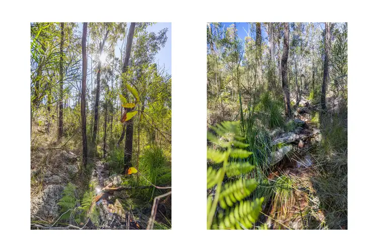 Fourth view of Homely land listing, Lot 6 of Lot 33 Little Forest Road, Little Forest NSW 2538