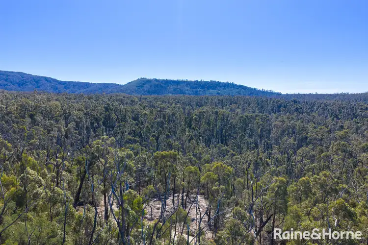 Sixth view of Homely land listing, Lot 6 of Lot 33 Little Forest Road, Little Forest NSW 2538