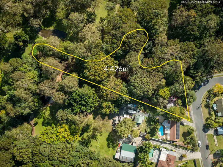 24 Bushmead Street, Nerang QLD 4211