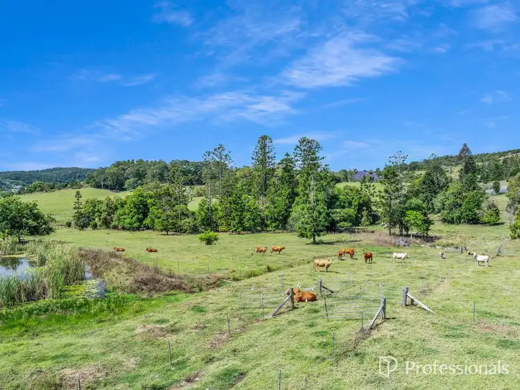 Fifth view of Homely rural property listing, 100 Visini Road, Cedar Pocket QLD 4570
