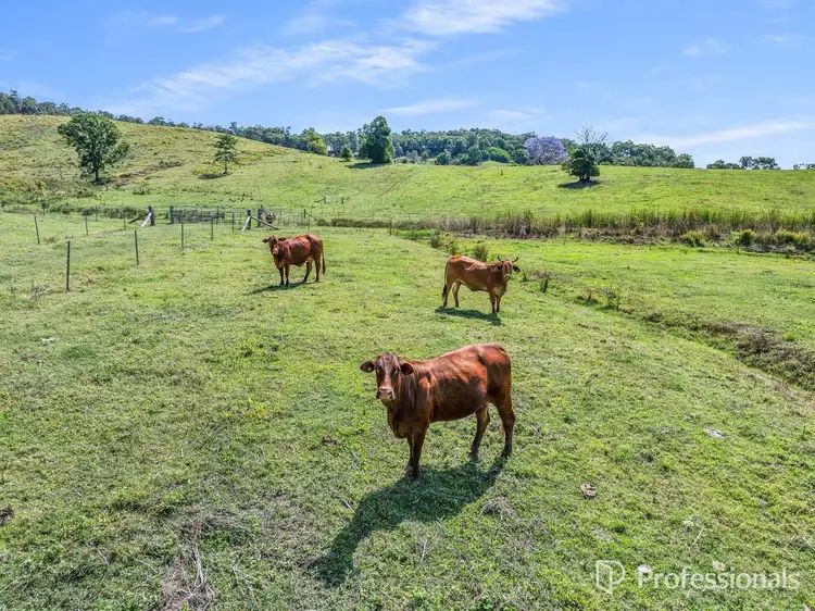 Sixth view of Homely rural property listing, 100 Visini Road, Cedar Pocket QLD 4570