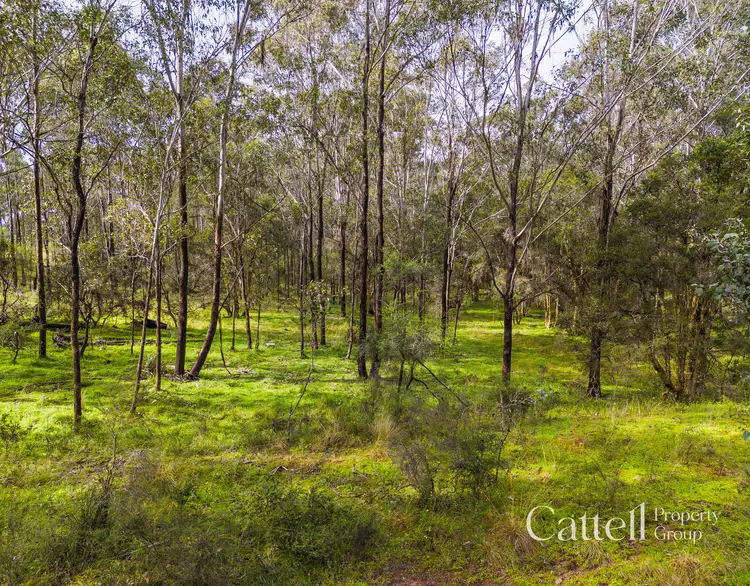 Second view of Homely rural property listing, 1059 Old Maitland Road, Sawyers Gully NSW 2326