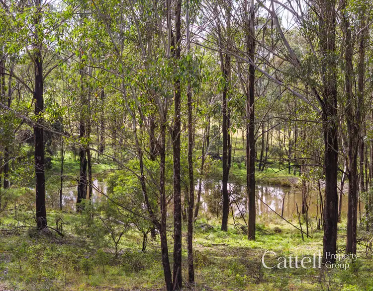 Sixth view of Homely rural property listing, 1059 Old Maitland Road, Sawyers Gully NSW 2326