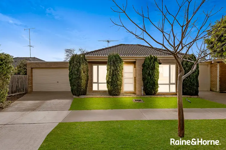 Main view of Homely house listing, 19a Roma Avenue, Cranbourne VIC 3977