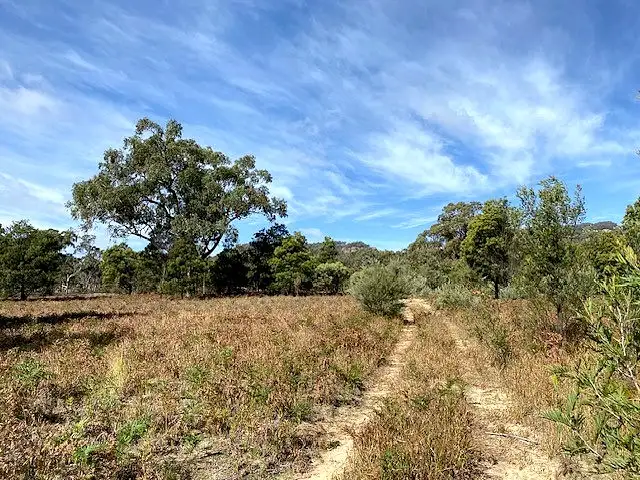 150 Reedy Creek Road, Rylstone NSW 2849