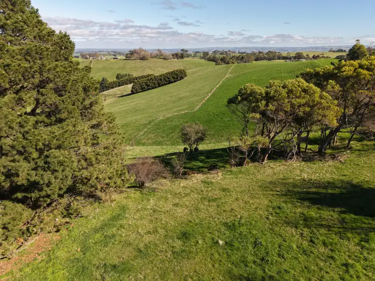 Sixth view of Homely rural property listing, 950 Mardan Road, Mardan VIC 3953