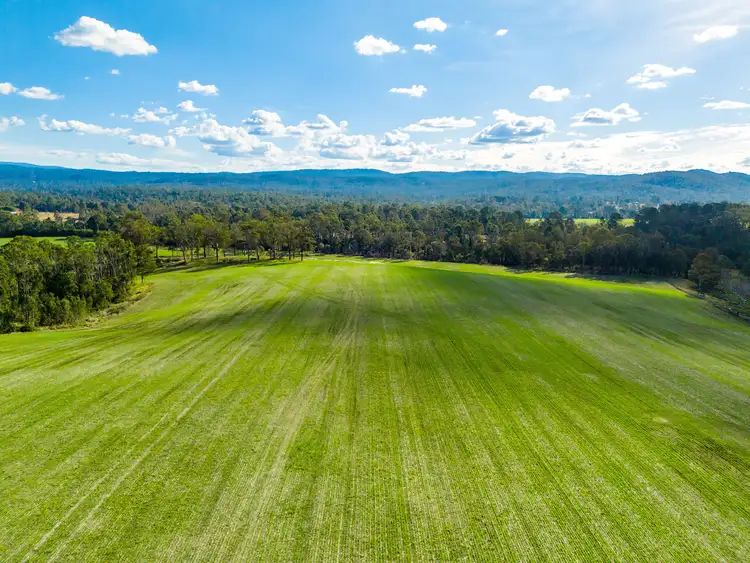 Fifth view of Homely rural property listing, 119 Paddys Flat Road, Tabulam NSW 2469