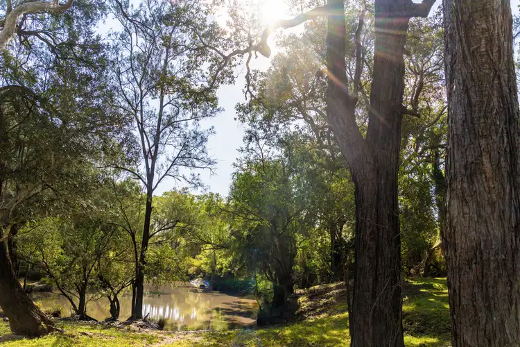 Seventh view of Homely rural property listing, 119 Paddys Flat Road, Tabulam NSW 2469