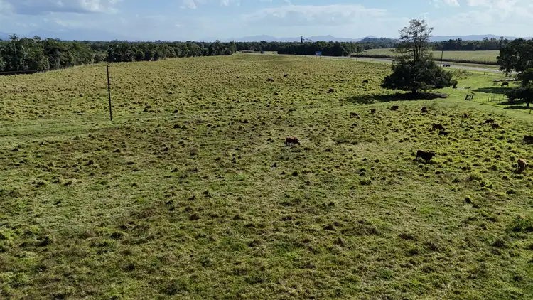 Third view of Homely rural property listing, Lot 5 Bruce Highway, Sandy Pocket QLD 4871