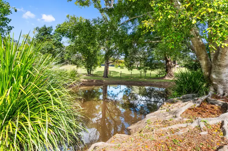 Fourth view of Homely house listing, 27-31 Forestcreek Place, Wamuran QLD 4512