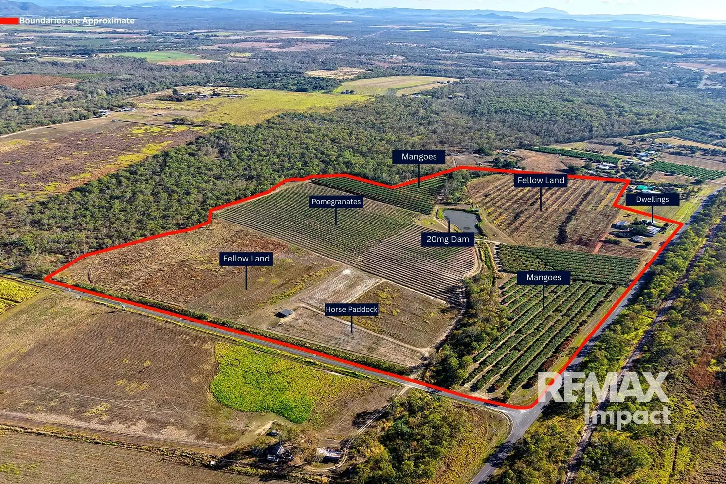 Main view of Homely rural property listing, 446 Chewko Road, Mareeba QLD 4880
