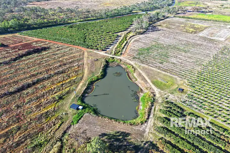 Fourth view of Homely rural property listing, 446 Chewko Road, Mareeba QLD 4880