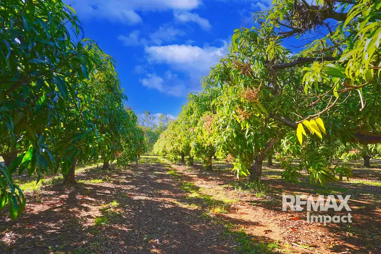 Sixth view of Homely rural property listing, 446 Chewko Road, Mareeba QLD 4880