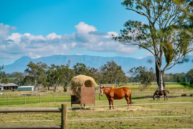 Second view of Homely rural property listing, 813 Boonah Fassifern Road, Fassifern Valley QLD 4309