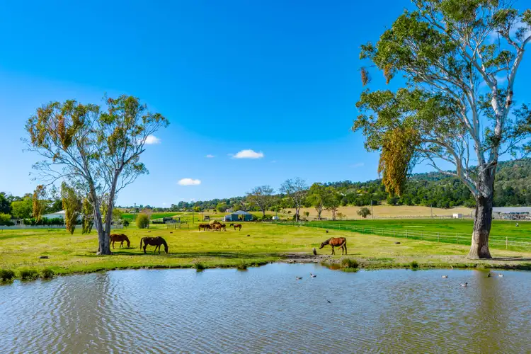Seventh view of Homely rural property listing, 813 Boonah Fassifern Road, Fassifern Valley QLD 4309