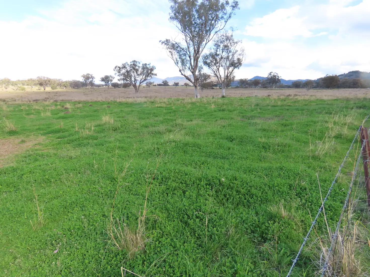 Main view of Homely rural property listing, "Spring Lawn" 82 Lees road, Duri NSW 2344