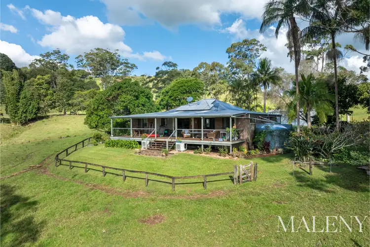 Fifth view of Homely rural property listing, 151 Maleny Kenilworth Road, Witta QLD 4552