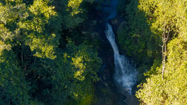 Sixth view of Homely rural property listing, 151 Maleny Kenilworth Road, Witta QLD 4552